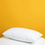 Linen Cushion Set
