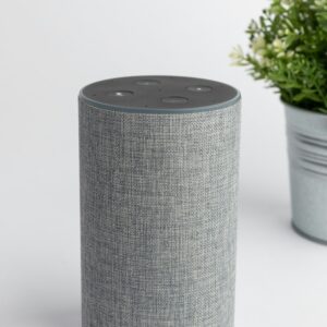 Mini Smart Speaker