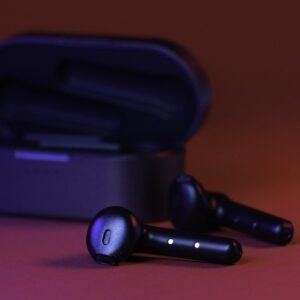 True Wireless Buds