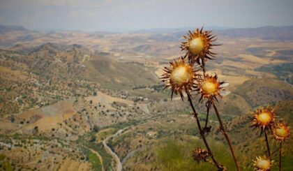 महाराष्ट्र के युवाओं के लिए कौशल प्रशिक्षण कार्यक्रम शुरू